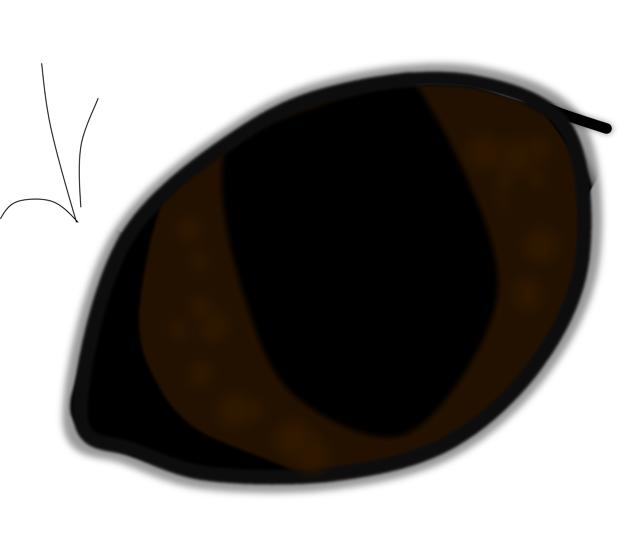 Schema eines Katzenauges mit total dunkel pigmentierter Iris und unvollständig enger Pupille.