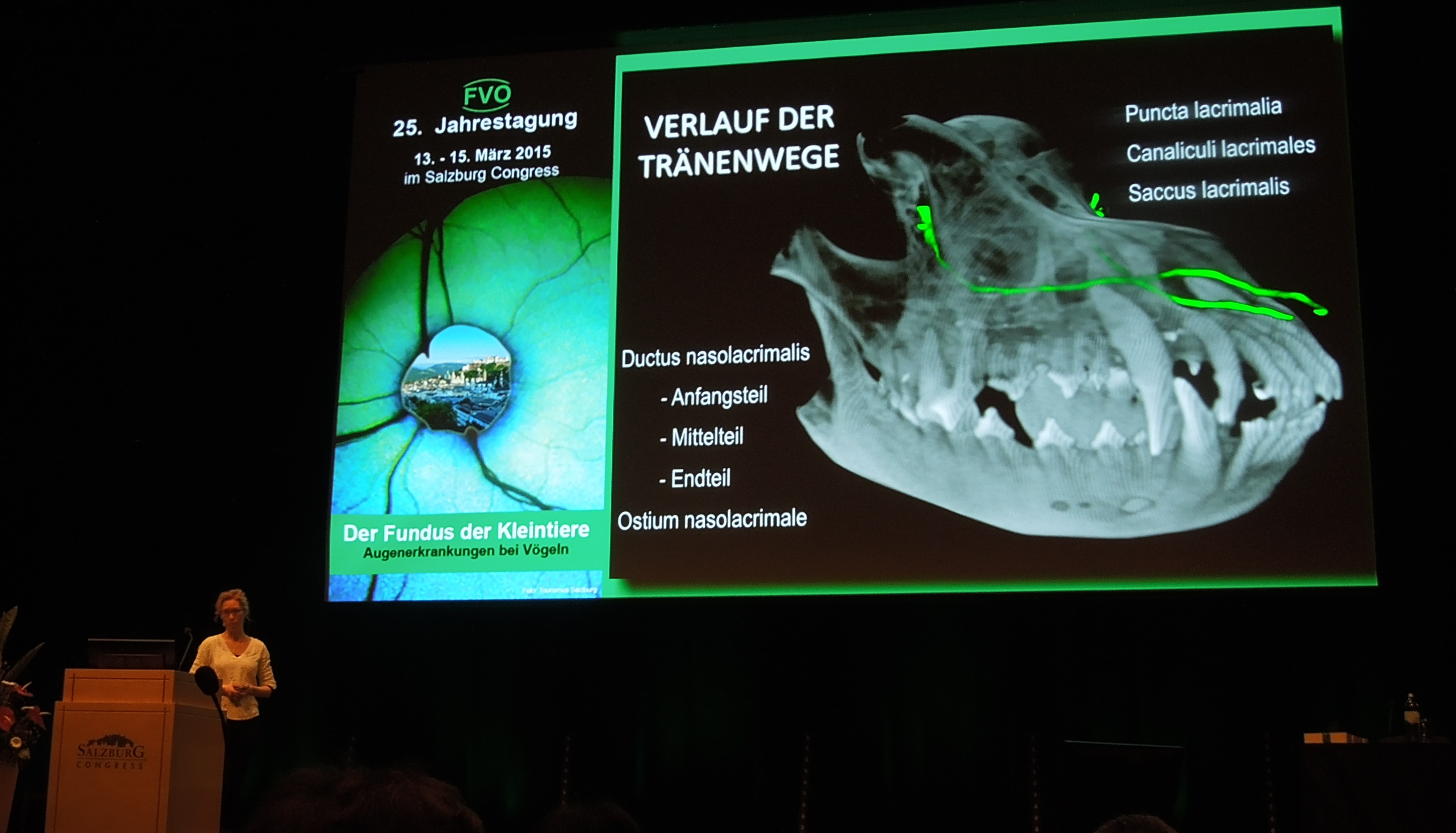 Jahrestagung FVO Fördergemeinschaft Veterinärophthalmologie 2015 - Vortag zum Erhalt des Förderpreises für die Dissertation